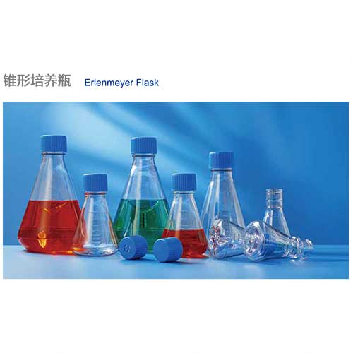 錐形培養瓶-圖1.jpg