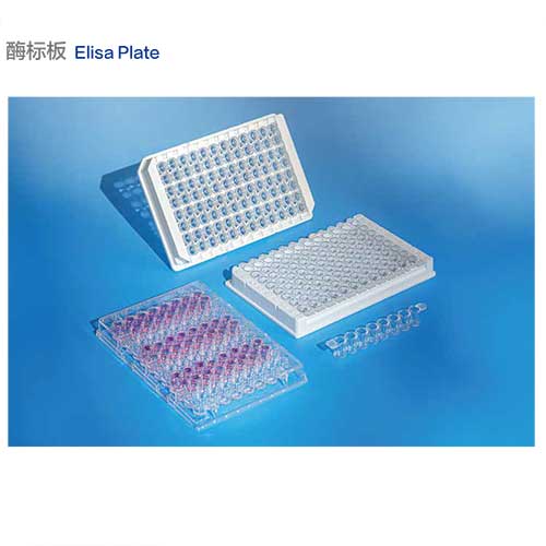 酶標板（不帶蓋）-圖1.jpg