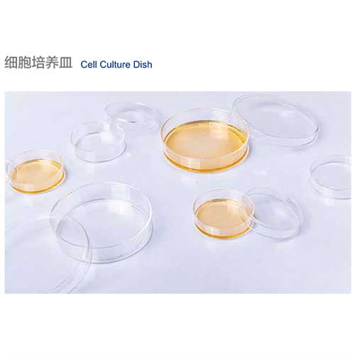 細胞培養皿-圖1.jpg
